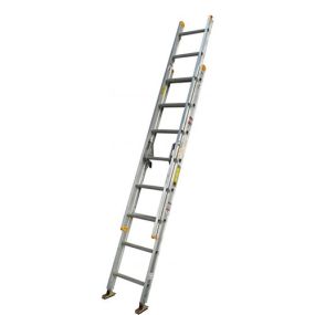 337710-1.jpg