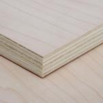 Sanded Plywood Hardwood